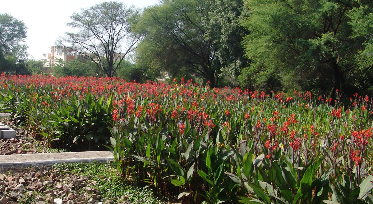 DAIICT Campus photo 15